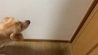 アージュの日常①