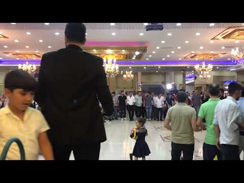 ayaz Arzen  halaylar süper Bitlis düğünü en yeni
