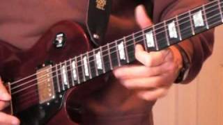 Fooled around and fell in love solo - Elvin Bishop cover