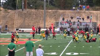 preview picture of video '2012 TCYFL T Birds Minors Green vs  Steilacoom Sentinels'