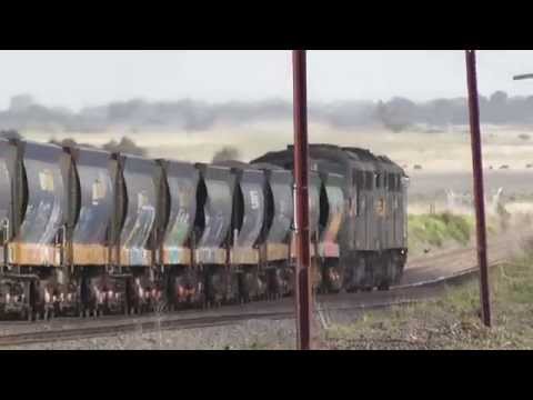 Pacific National A Class Locomotive Apex Quarry Freight Train Australia A71 A73 A77 A78