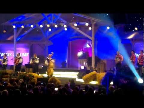 Noč modrijanov 2012, Modrijani in Gadi