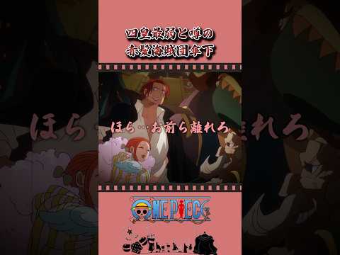 四皇最弱と噂の赤髪海賊団傘下 #onepiece #ワンピース #アニメ #雑学