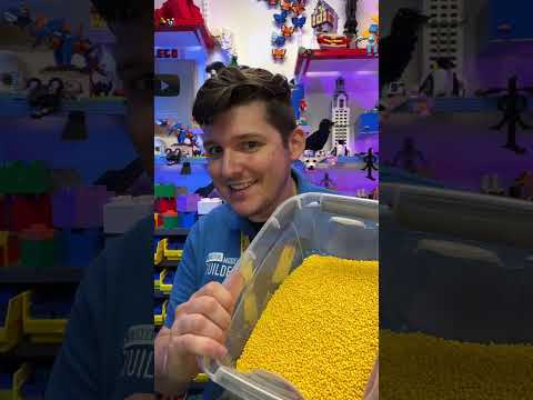 Is this a LEGO brick!?