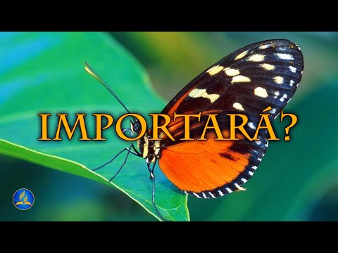 Hinário Adventista 383 - IMPORTARÁ?
