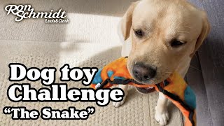 Yellow Lab Toy Review - Outward Hound Invincibles with Ron a