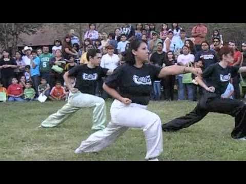 Five Stances Wushu Form HESTEC 2010