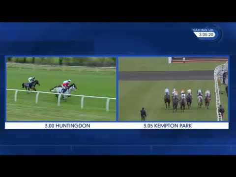 Might Bite King George VI 2017