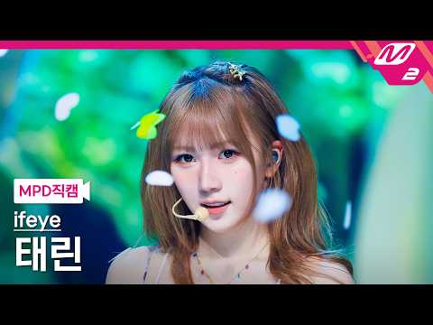태린