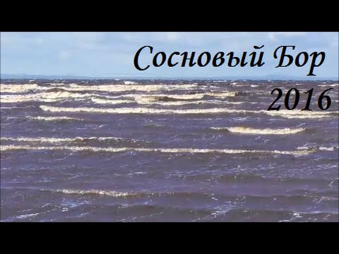 Город Сосновый Бор