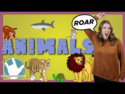 50 Animal Signs in ASL | Part 2 | Sign Language for Beginners