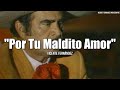 Vicente Fernández - Por Tu Maldito Amor (Letra/Lyrics)