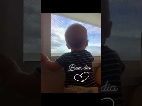 Música para festa de adulto