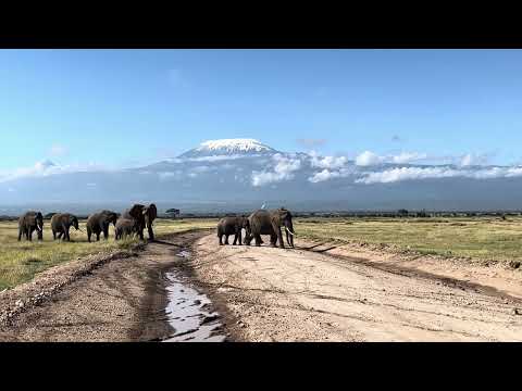The Tallest Mountain in Africa!