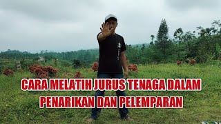 Download lagu cara membangkitkan tenaga dalam penarikan energi dan pelemparan jarak jauh mp3