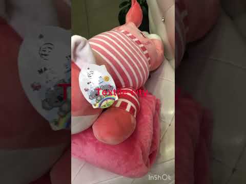 Плед- іграшка -подушка собака Хаскі рожева - фото 1 - id-p1291138469