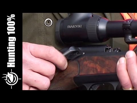 Wild Boar Hunting in France