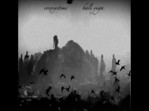 coexsystems - kali yuga