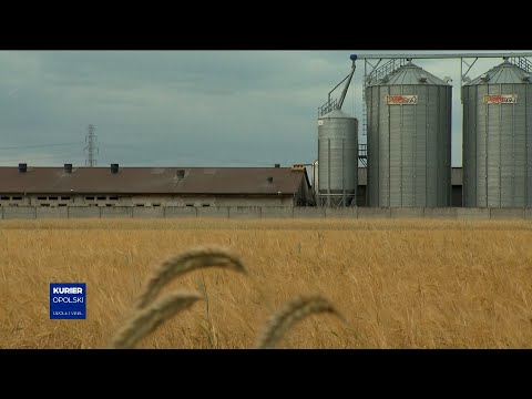 Stara kontra nowa wieś. Kontrowersje w sprawie chlewni