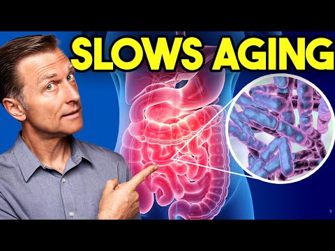 The Microbe That Changes EVERYTHING