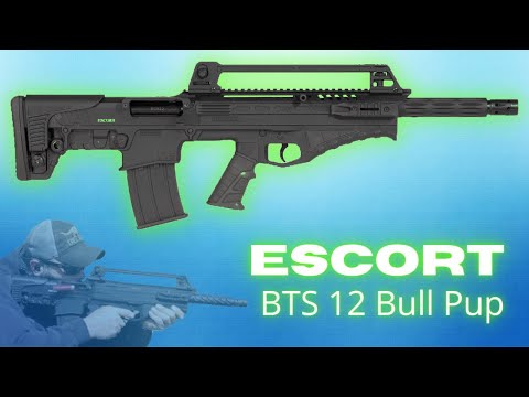 The Hatsan Escort Magnum 12 gauge shotgun. How does it perform?