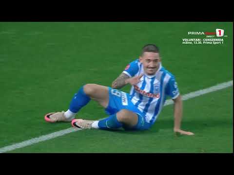 bg-highlight