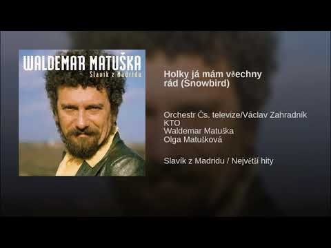 Holky já mám všechny rád