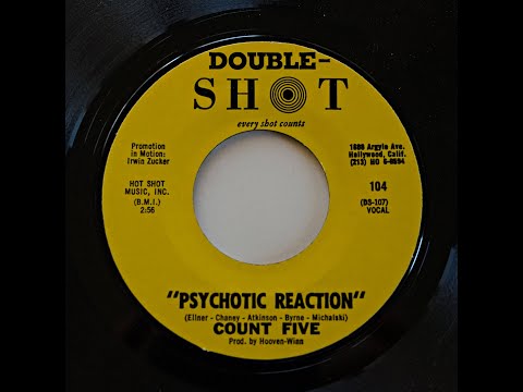 Count Five (Psychotic Reaction) & flip side orig. mono 45
