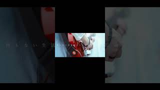 【#又三郎】【#ヨルシカ】【#shorts】【#永久機関】プロフよりYouTube fullへ飛べます！  #ヨルシカ  #初音ミク #anime #キタニタツヤ　 #盗作再演　 #盗作live