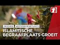 Islamitische begraafplaats krijgt extra ruimte op Westerbegraafplaats