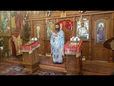 20210124 NICOLAE BALASOIU – VINDECAREA ORBULUI DIN IERIHON