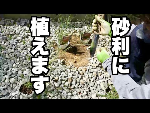 砂利で庭を造園する方法 2023