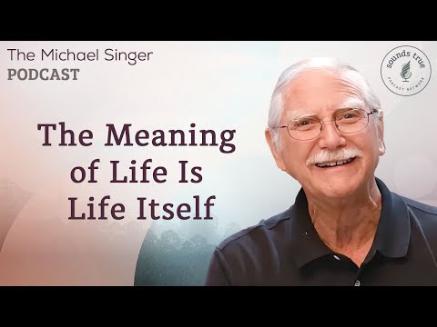 The Meaning of Life Is Life Itself | The Michael Singer Podcast