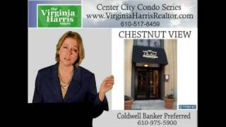 preview picture of video 'CHESTNUT VIEW CONDO'