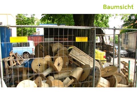 Vortrag Bäume Teil 4/8