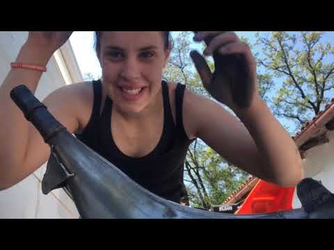 STVARNO SAM SE POTRUDILA..(amater sam ovo je cista zabava i ljubav prema malim i velikim zvjerkama”