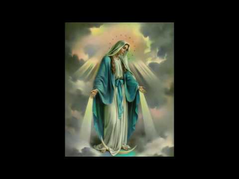 Dragutin Hrastović - Nosim Ti ružice