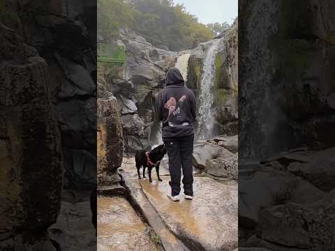 Un bloopers perruno en TANTI #aventura #autocamper #córdoba #life #travel #naturaleza #lifestyle