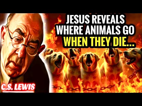 Jesus Reveals Where Animals Go When They Die | C.s. Lewis