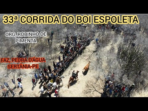33ª CORRIDA DO BOI ESPOLETA FAZ, PEDRA D'ÁGUA SERTÂNIA-PE ORG, ROBINHO DE PIMENTA 