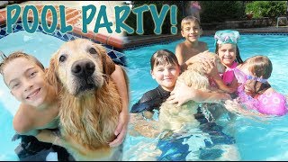 Golden Retriever Pool Party!! | Crazy8Family