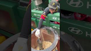 Oneil Cruz feeding Punxsutawney Phil is absolutely amazing (via @Pirates )