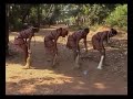 The Oriental Brothers Int'l Band  - Onye Uma Mmadu Eji Egbu Ya (Official Video)