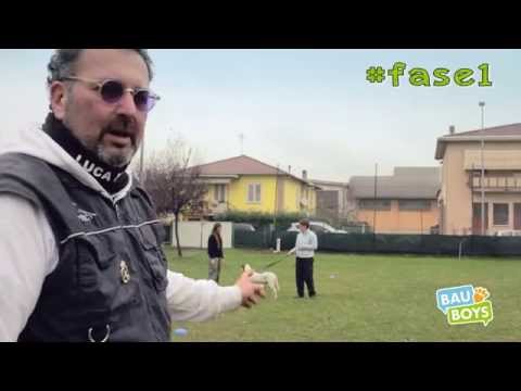 Spin down il dolore e la febbre Lato sinistro ernia del disco L5-S1