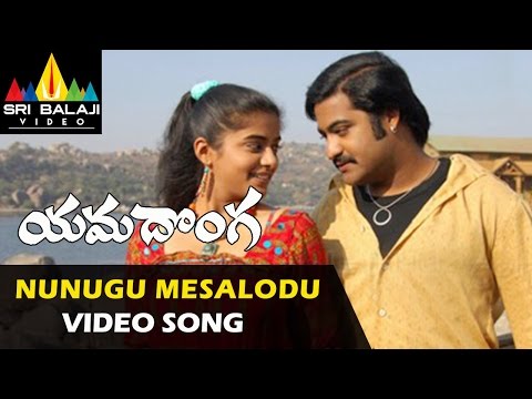 నూనూగు మీసాలోడు