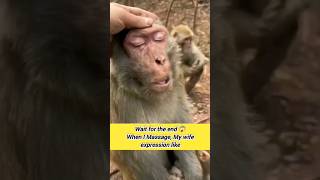 Download lagu Wait for end When I massage my wife expression like😂🤪..#shorts#comedy #funnyshorts #viral #trending mp3