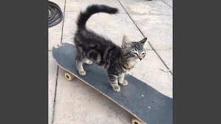 first place (feat. lungskull)