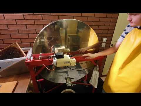 Parallellradialslunga under upplärning 2021 även kallad hjulslunga