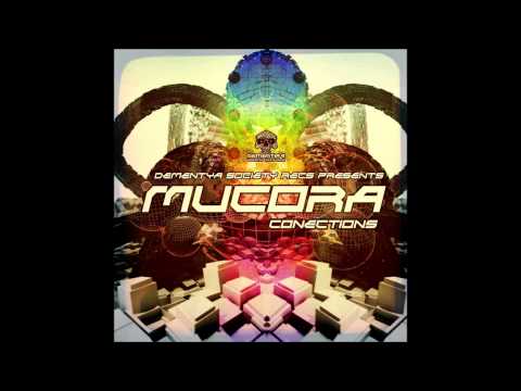 Mucora   Baile De San Vito  Live Mix