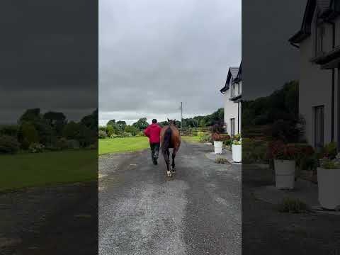 Video 3